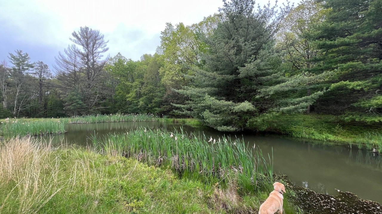 Photo of Outdoor in Sparrow Bush
