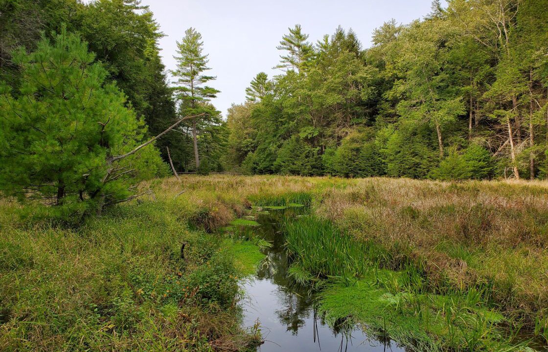 Photo of Outdoor in Sparrow Bush