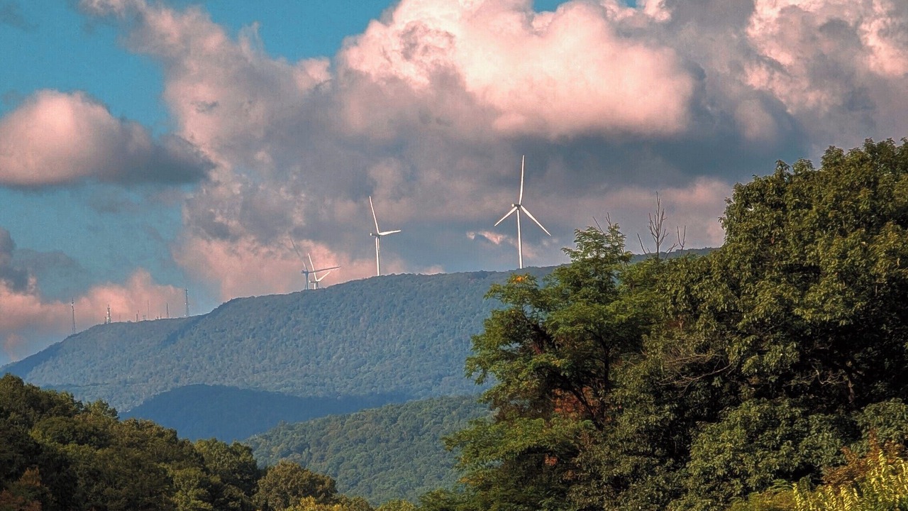 Photo of Others in Cumberland