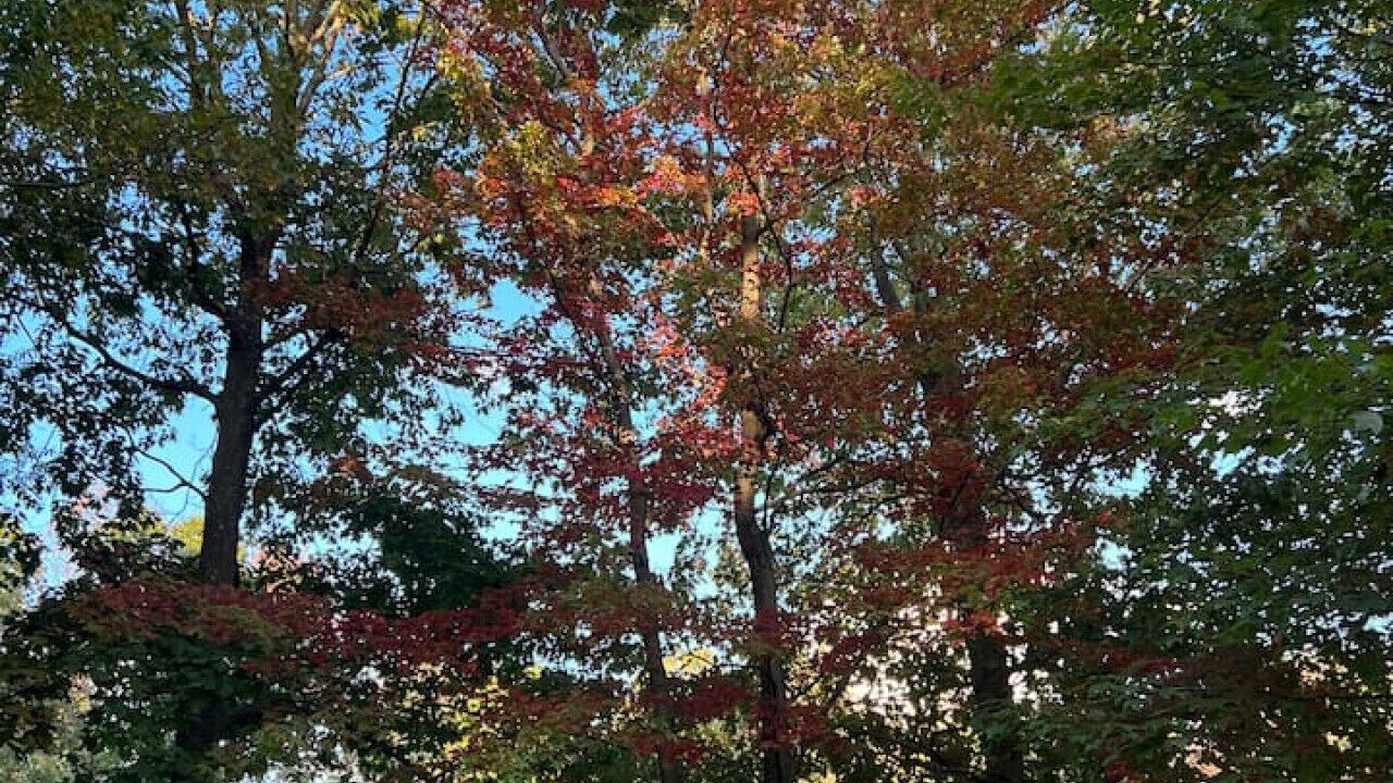 Photo of Outdoor in Chester