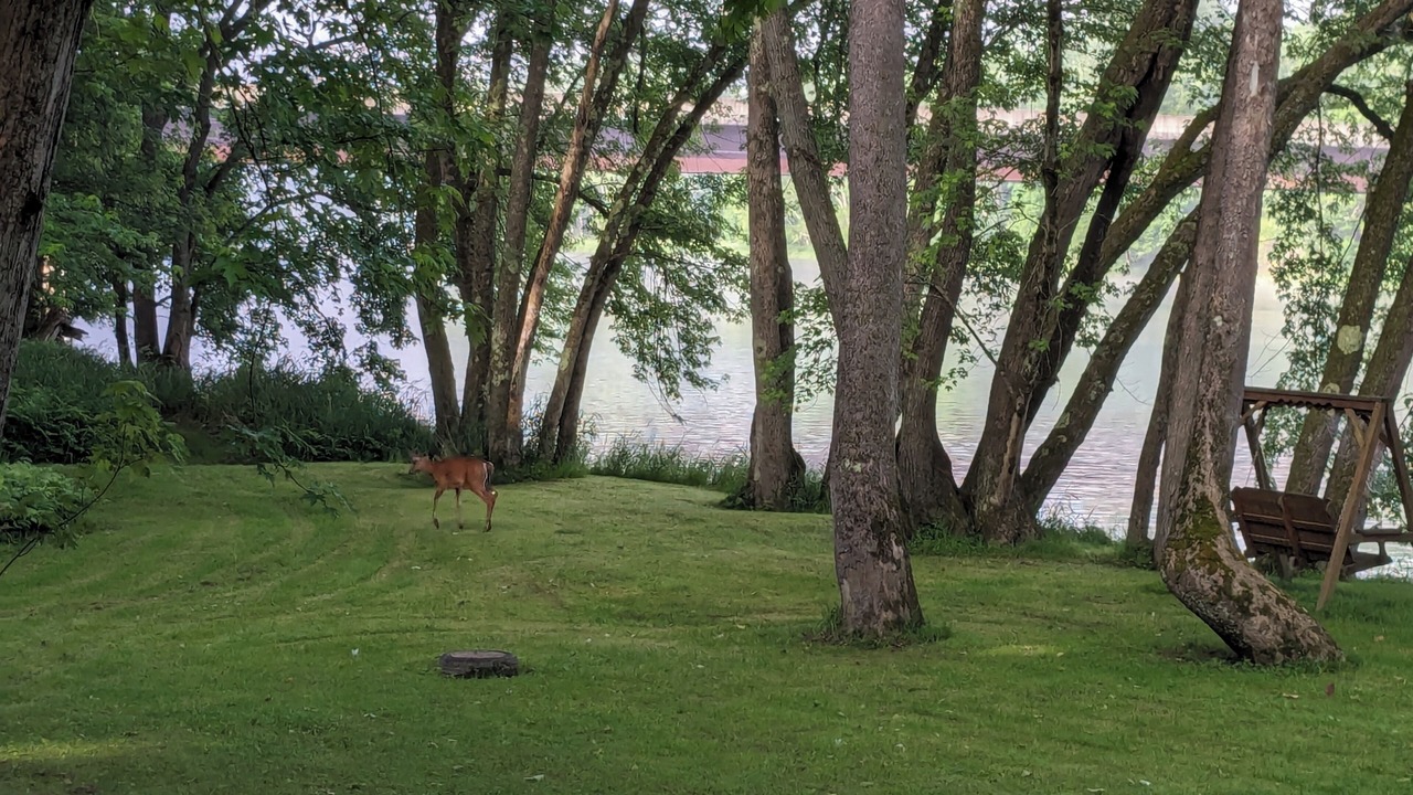 Photo of Outdoor in West Hickory