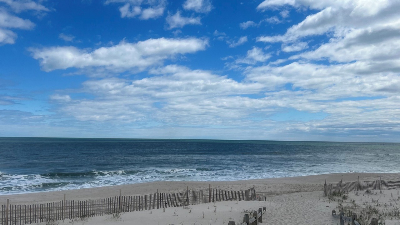 Photo of Others in Normandy Beach