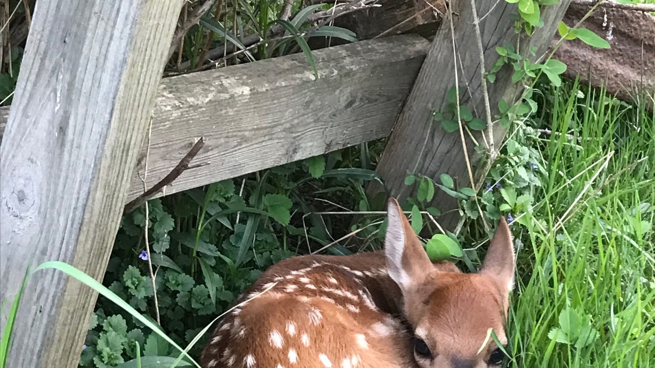 Photo of Others in Cochecton
