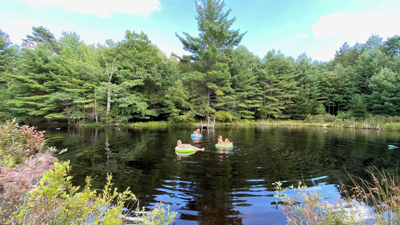 Photo of Others in Cochecton