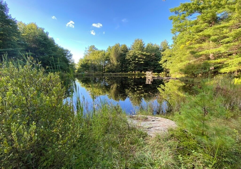 Photo of Others in Cochecton