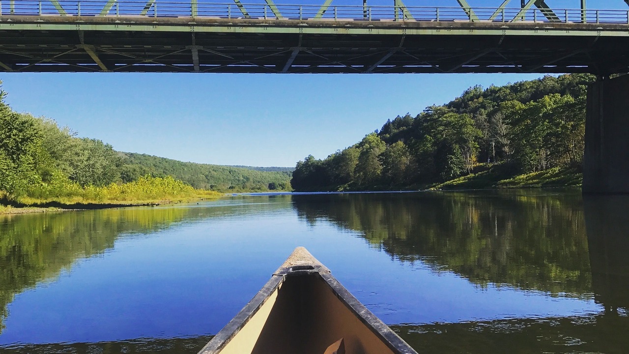 Photo of Others in Cochecton