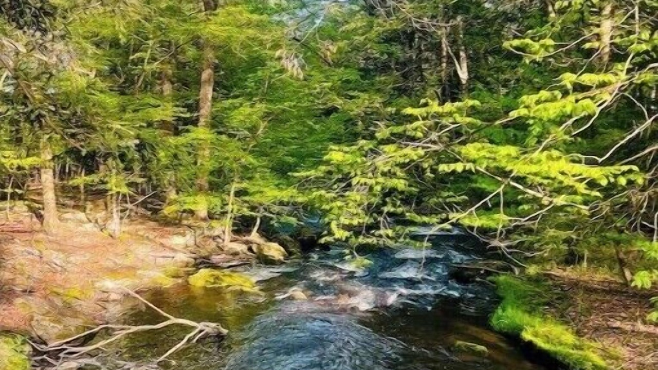 Photo of Others in Smallwood