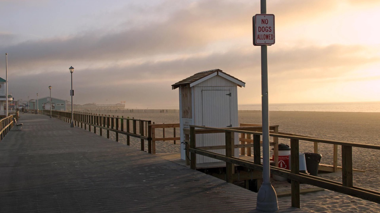 Photo of Others in Point Pleasant Beach
