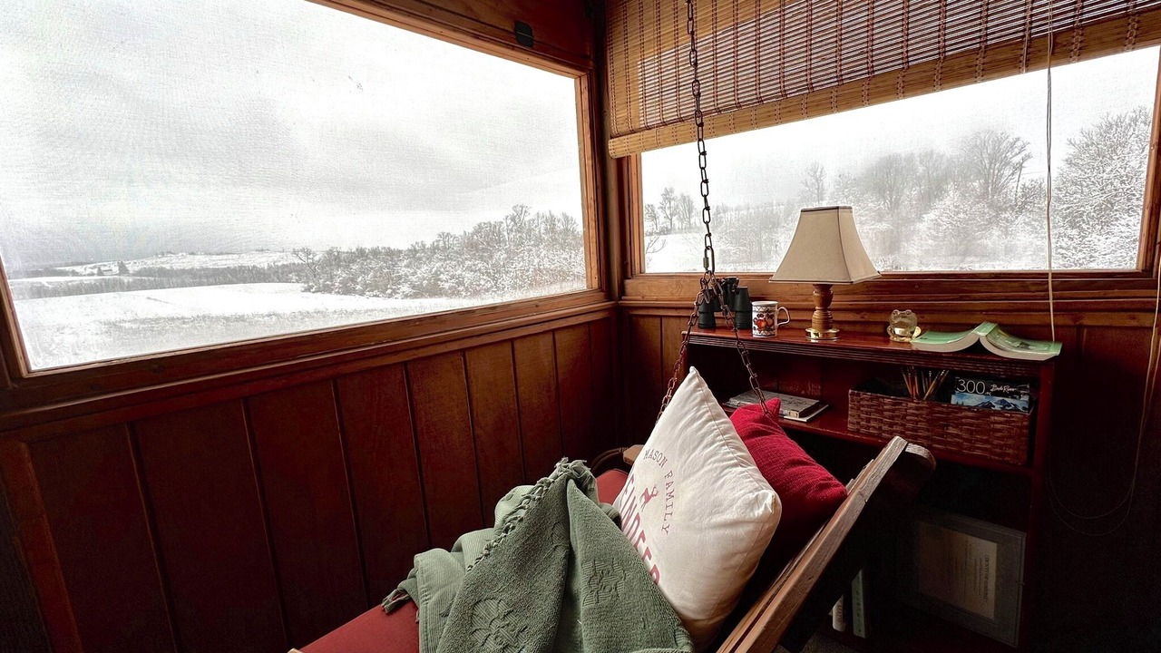 Photo of Bedroom in Listie