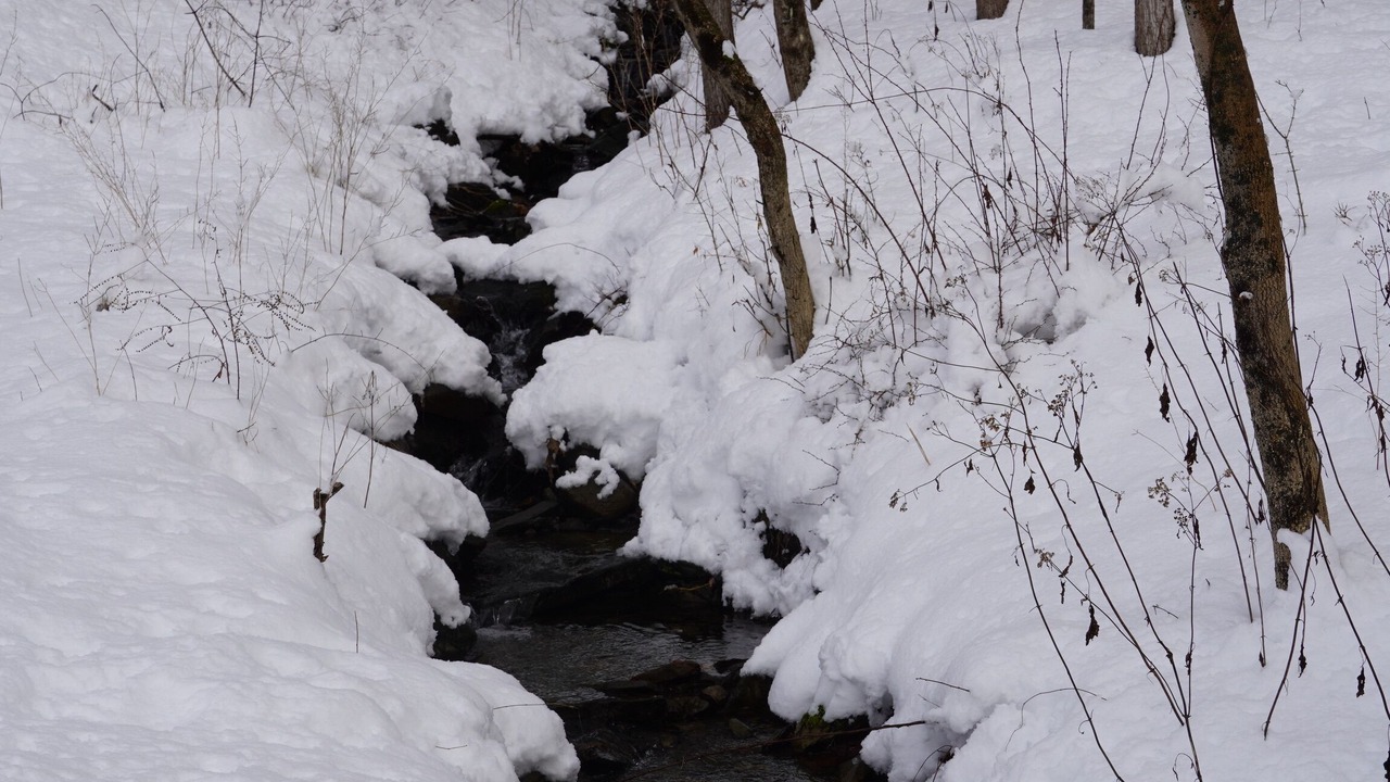 Photo of Others in Port Jervis
