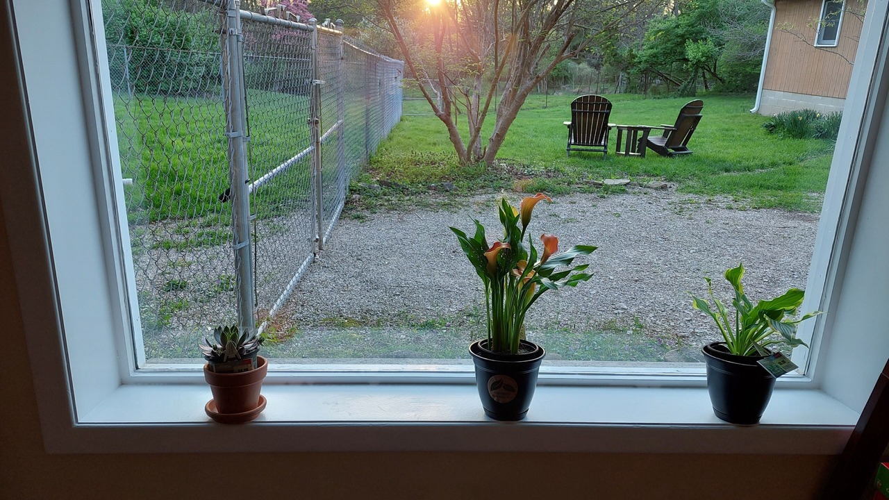 Photo of Bedroom in Bloomington
