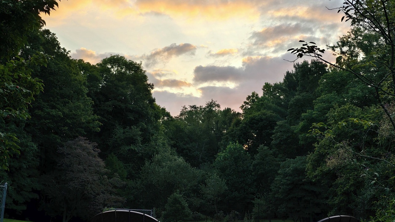 Photo of Others in Bloomington