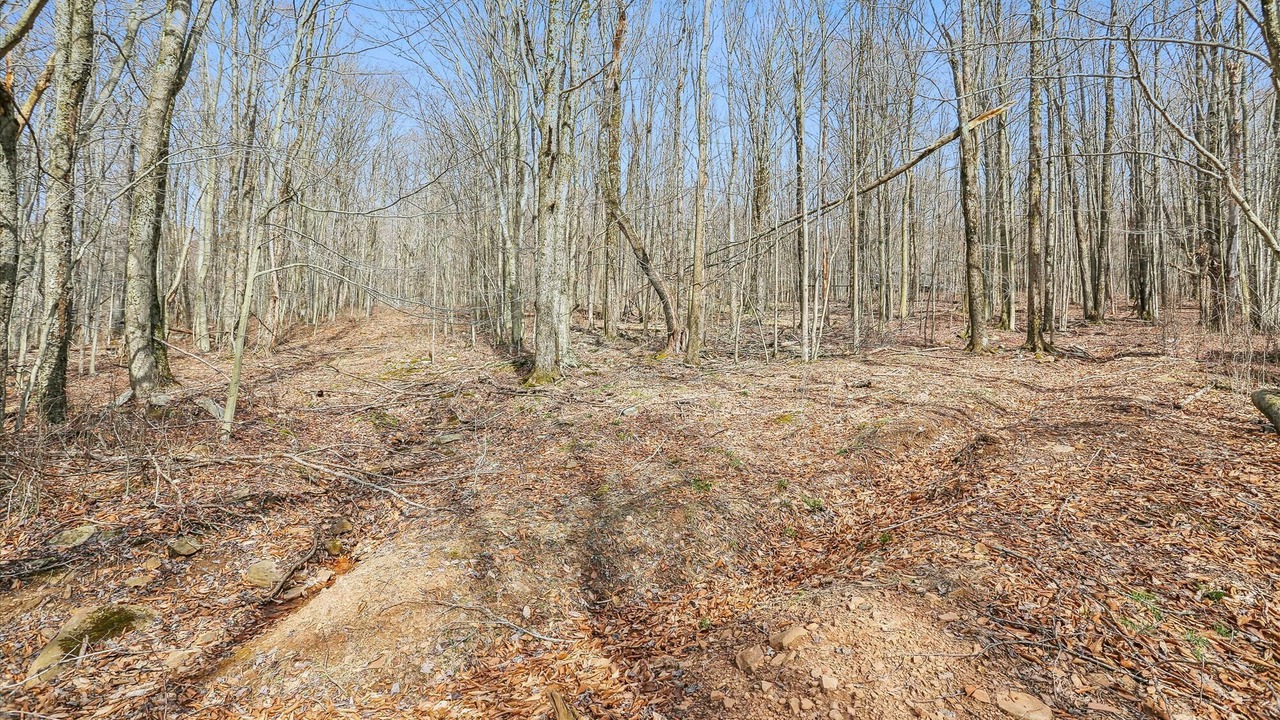 Photo of Others in Old Timberline