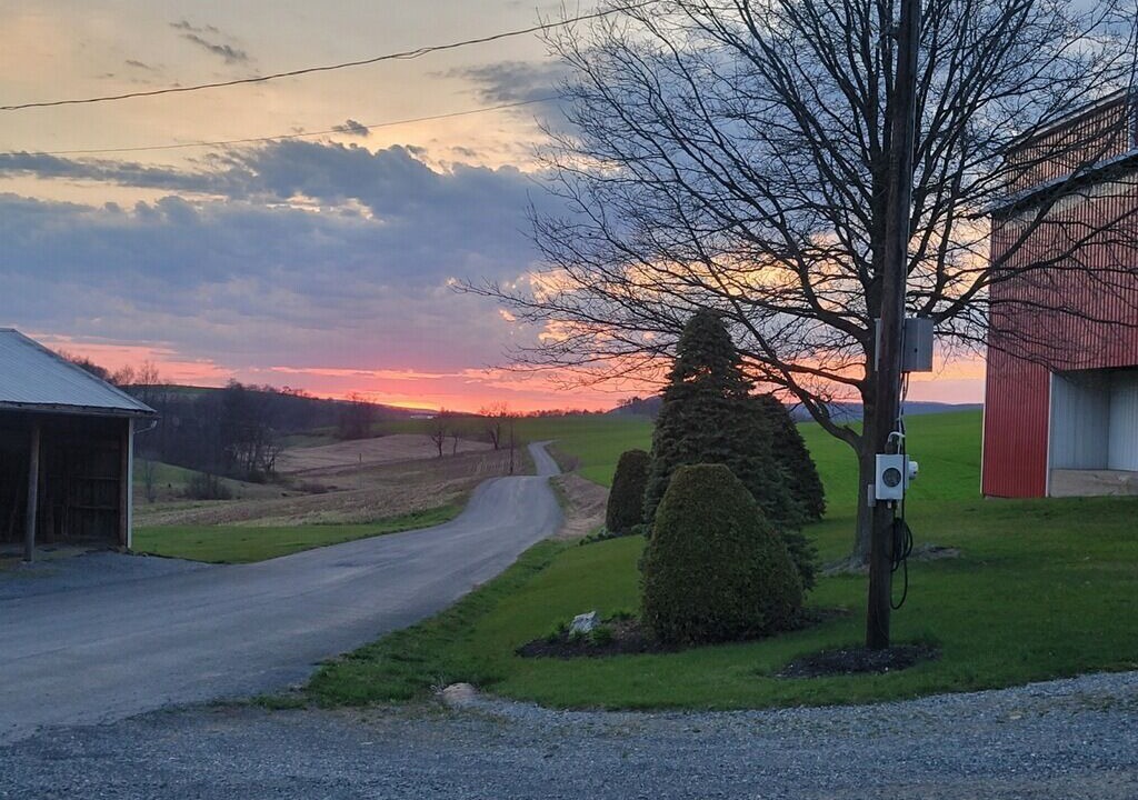 Photo of Outdoor in Rebuck