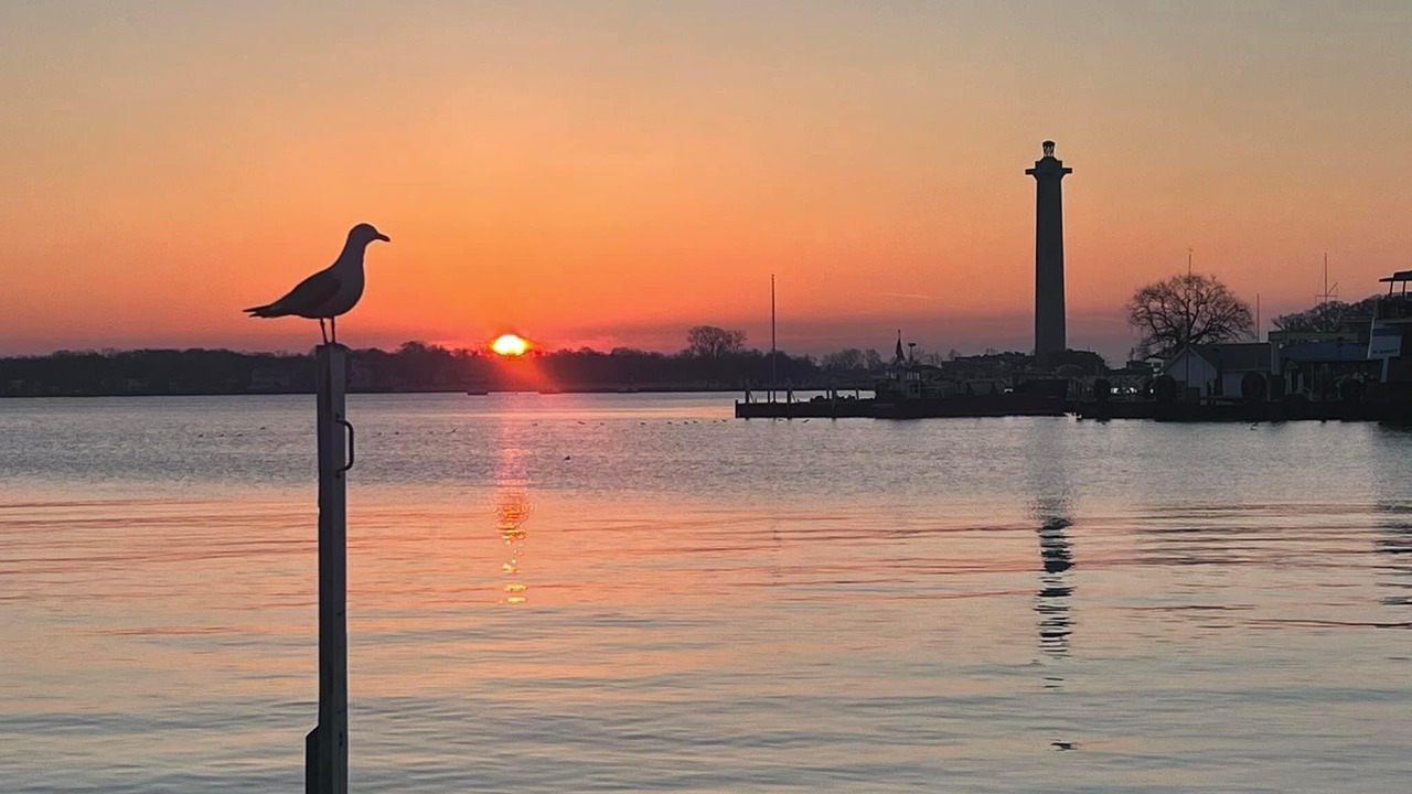 Photo of Others in Marblehead