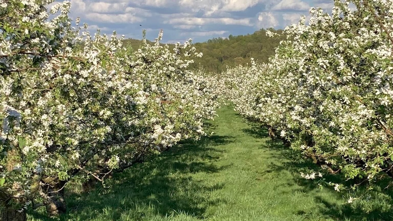 Photo of Outdoor in Chillicothe