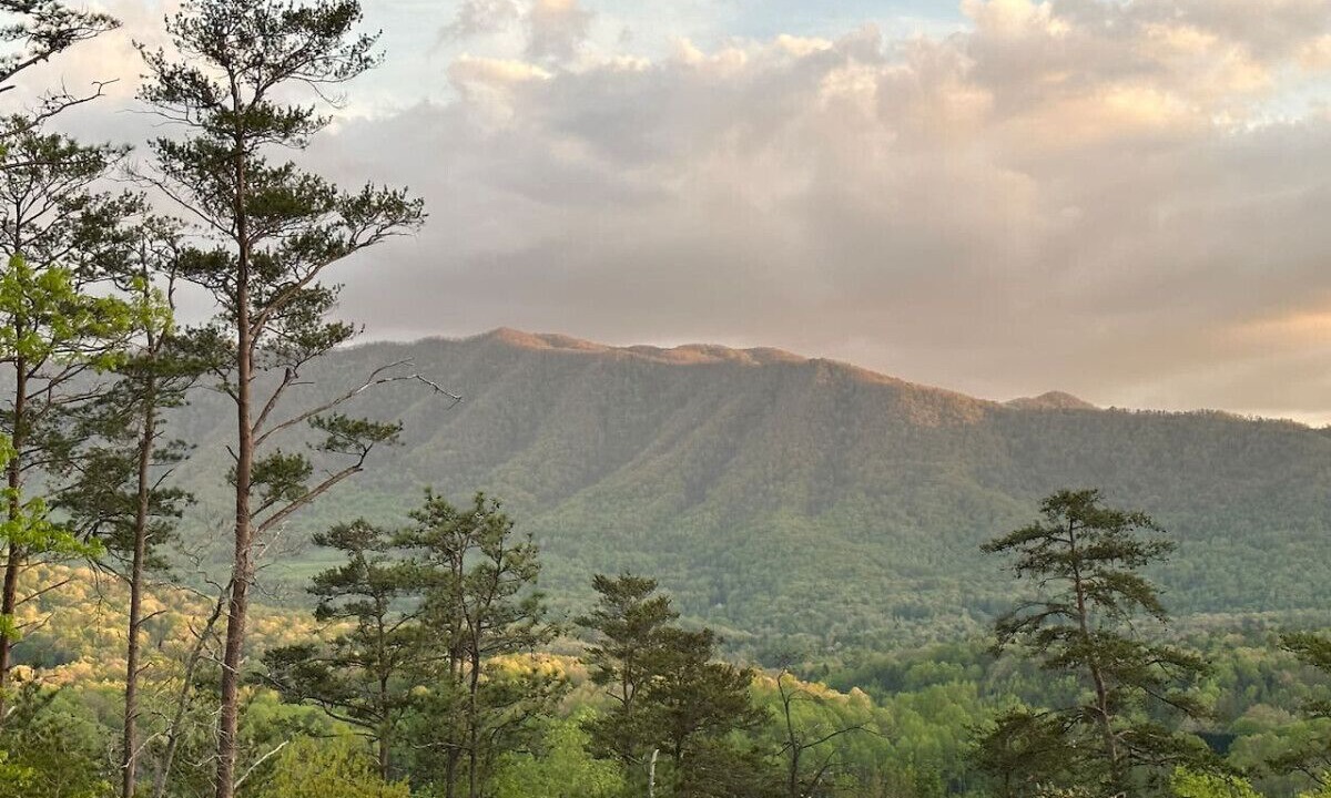 Photo of Outdoor in Townsend