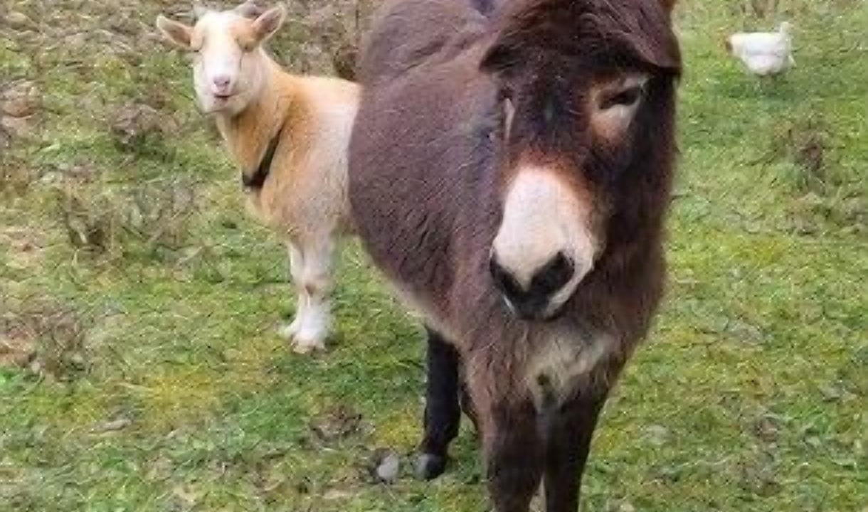 Photo of Others in Corning