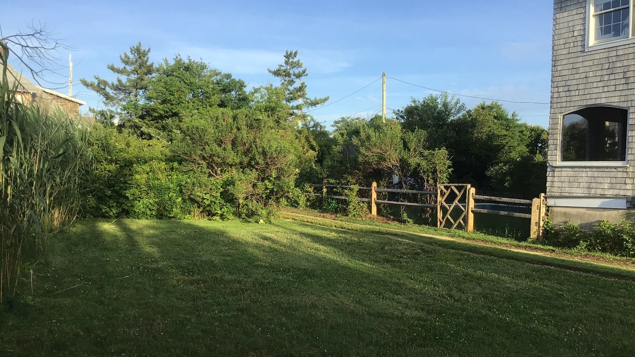 Photo of Outdoor in Bay Head