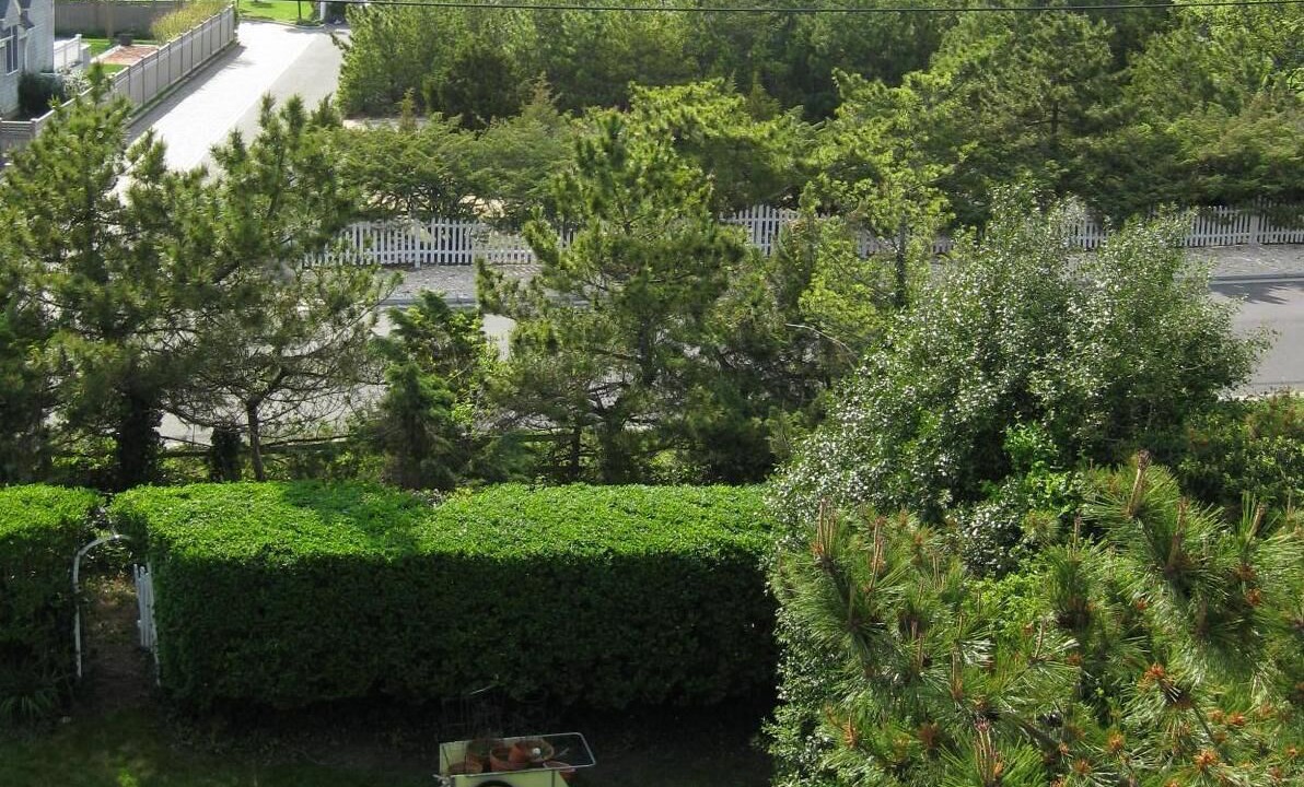 Photo of Outdoor in Bay Head