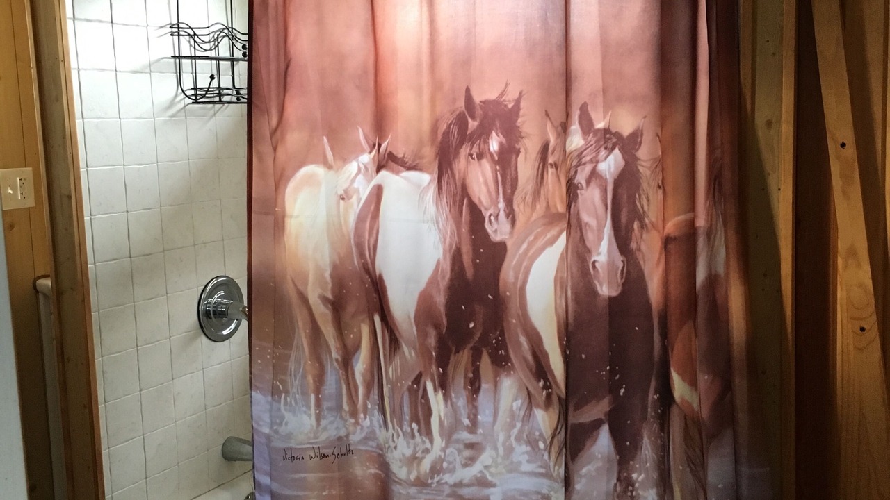 Photo of Bathroom in New Plymouth