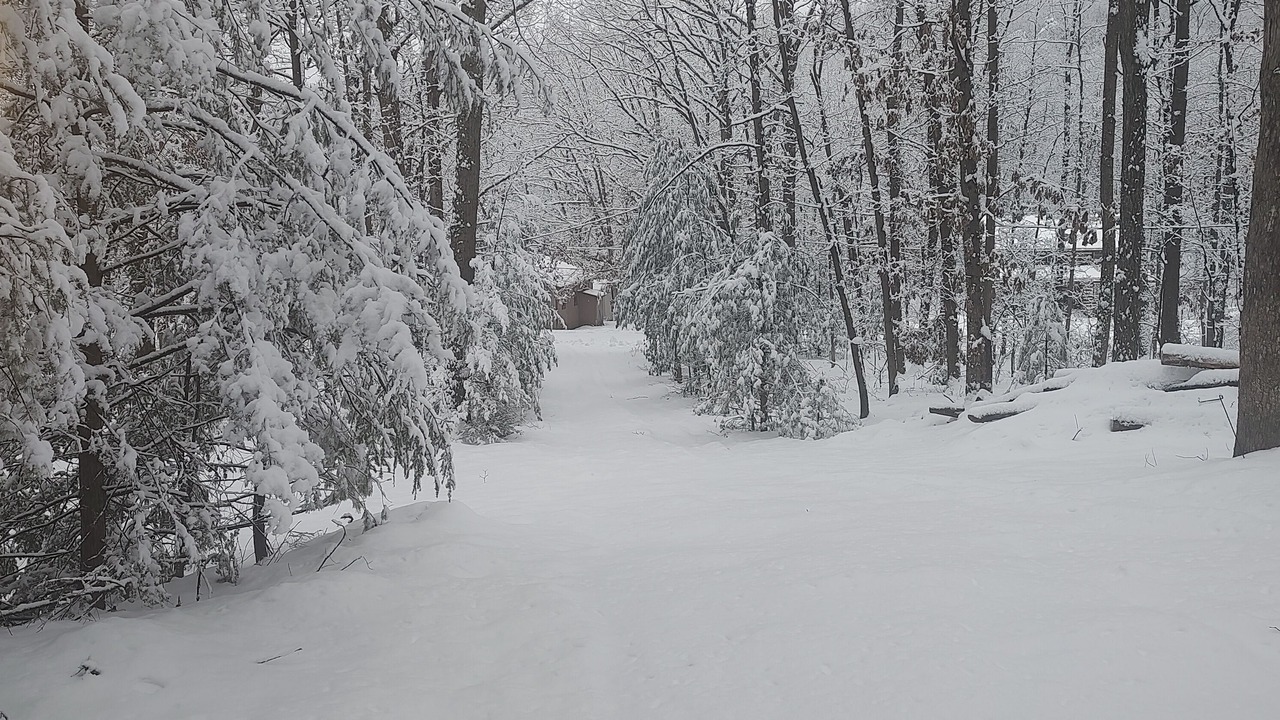 Photo of Outdoor in Hesston