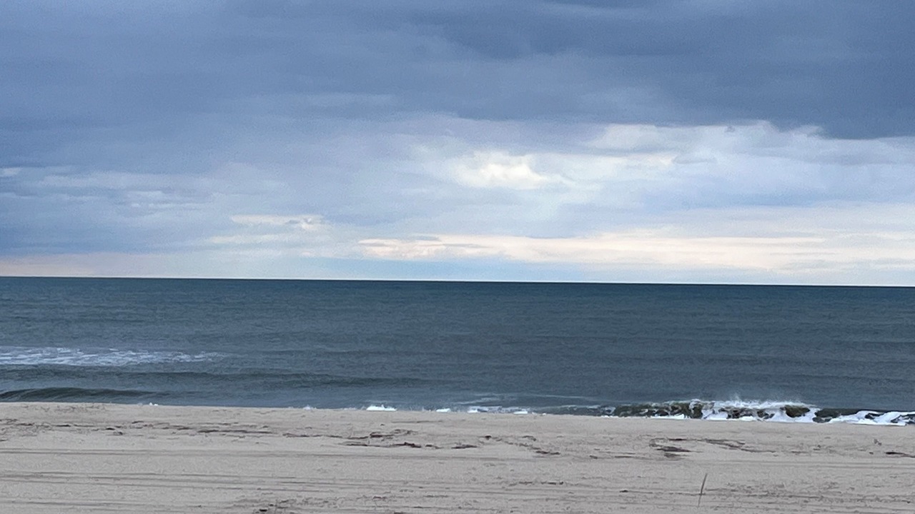 Photo of Others in Ocean Acres