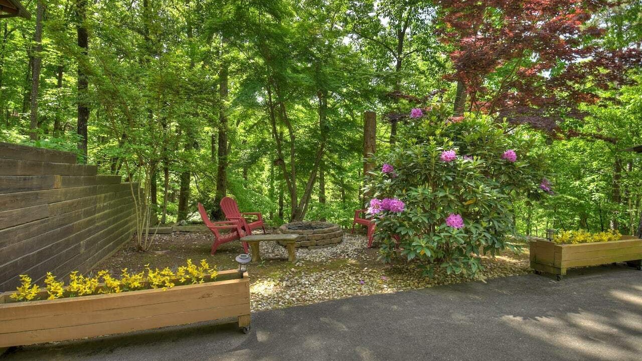 Photo of Others in Ellijay