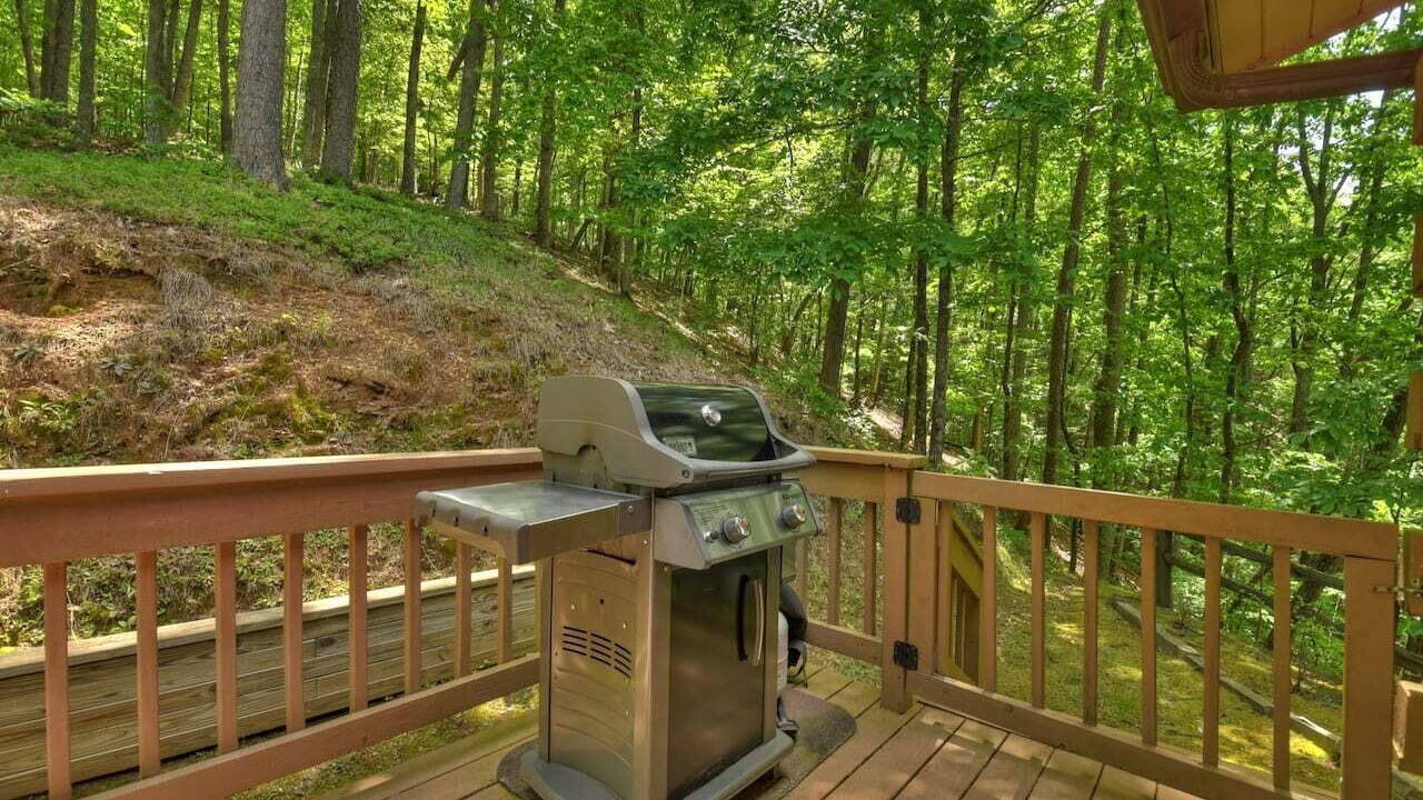 Photo of Others in Ellijay