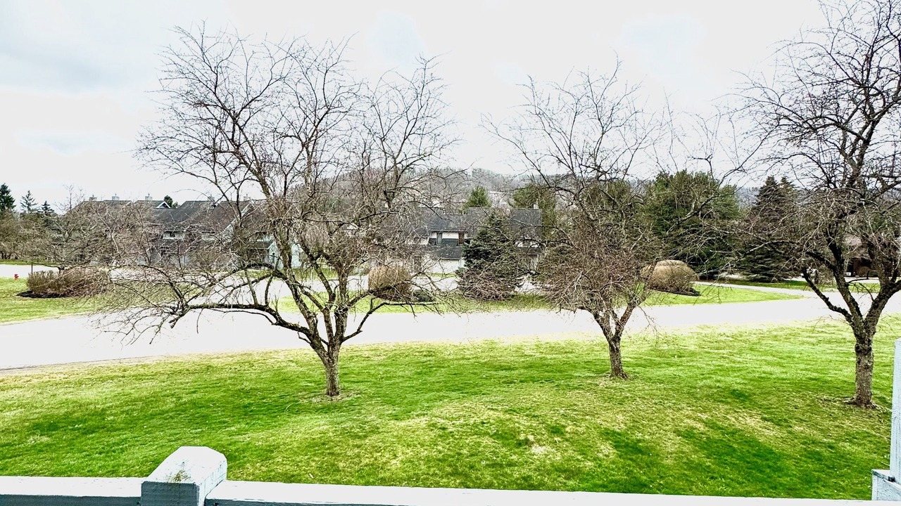 Photo of Outdoor in Ellicottville