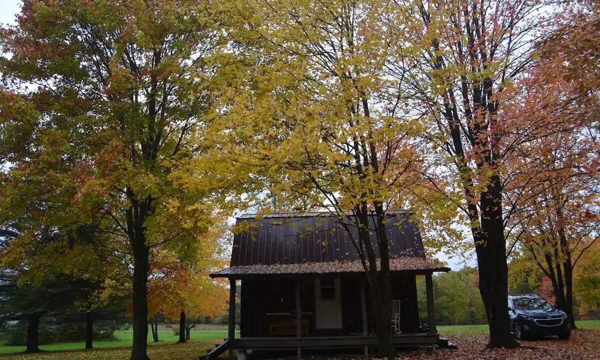 Photo of Outdoor in Carlton