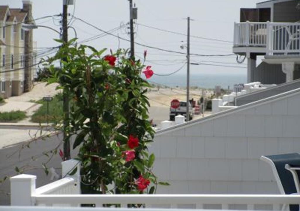 Photo of Outdoor in Townsend's Inlet
