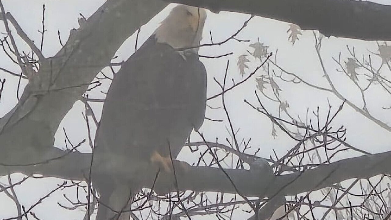 Photo of Others in Streetsboro