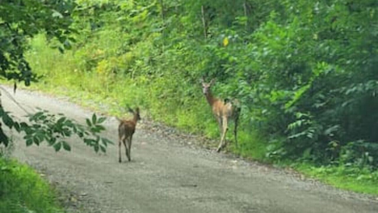 Photo of Others in Streetsboro