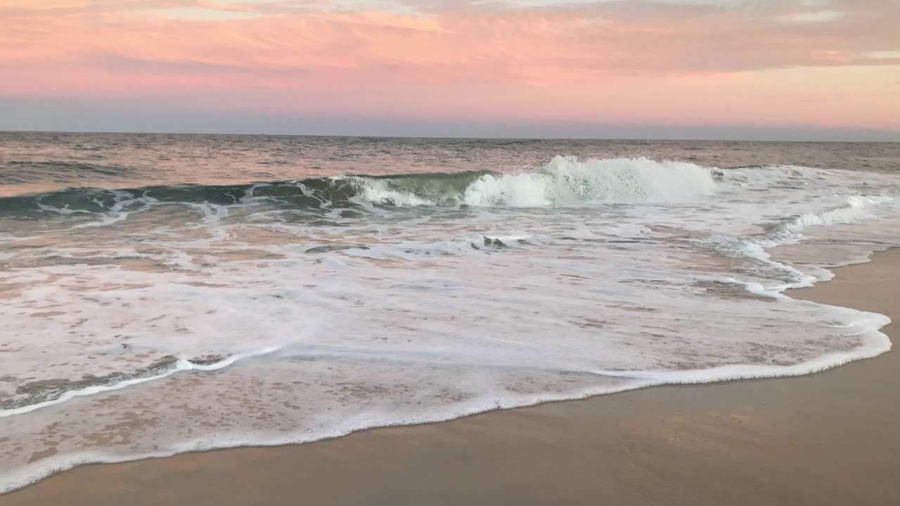 Photo of Others in Clearwater