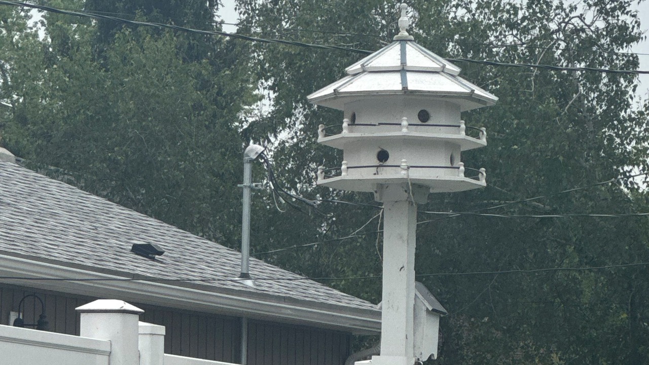 Photo of Others in Vermilion