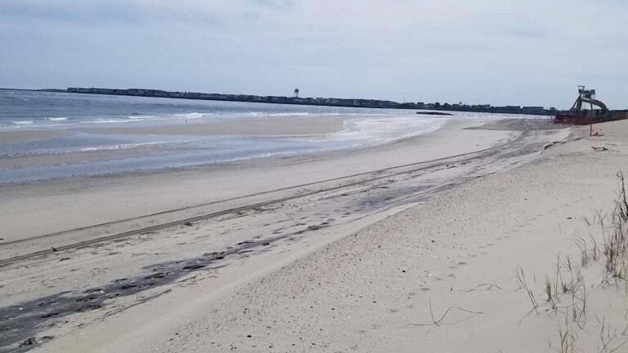 Photo of Others in Townsend's Inlet