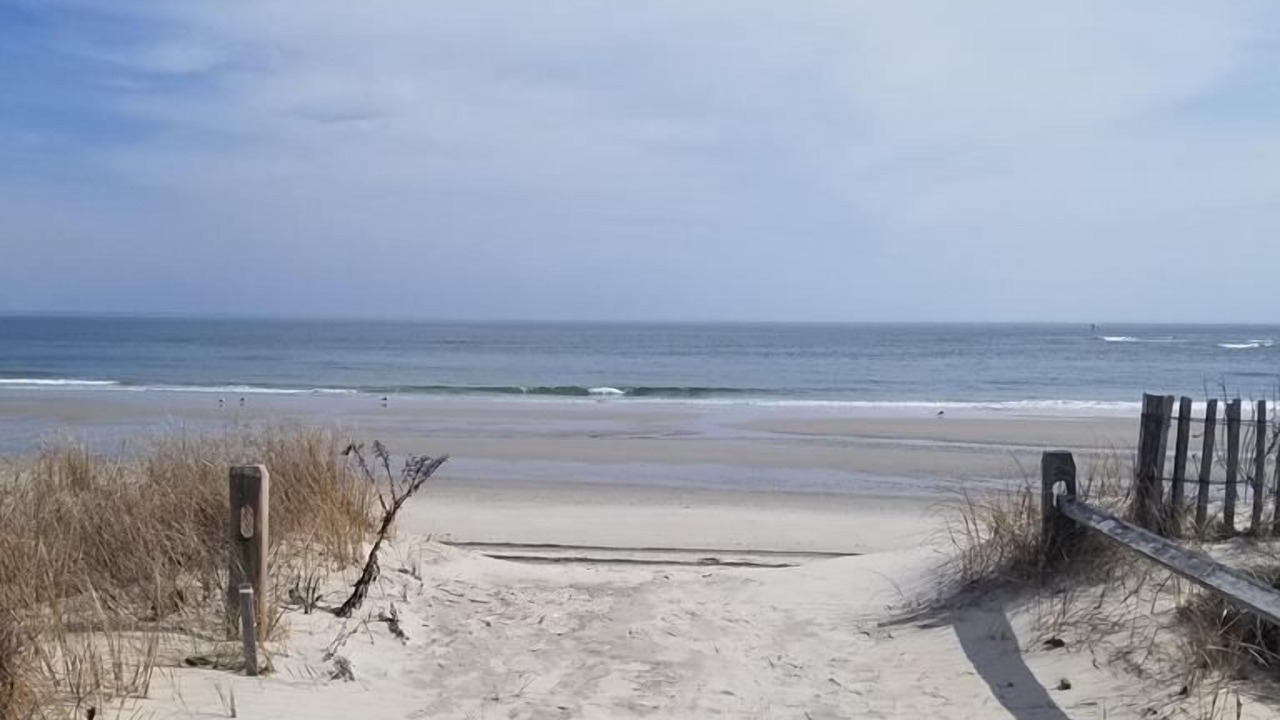 Photo of Others in Townsend's Inlet