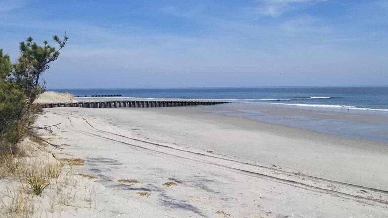Photo of Others in Townsend's Inlet