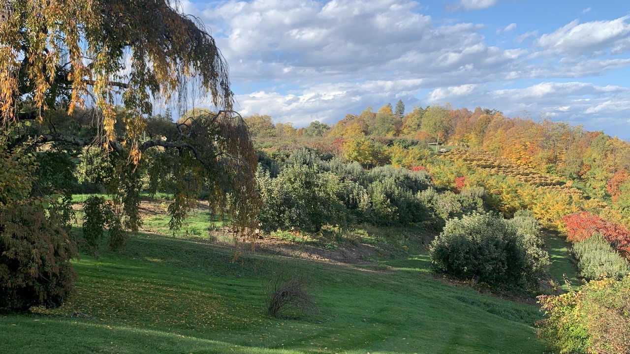Photo of Outdoor in Milton