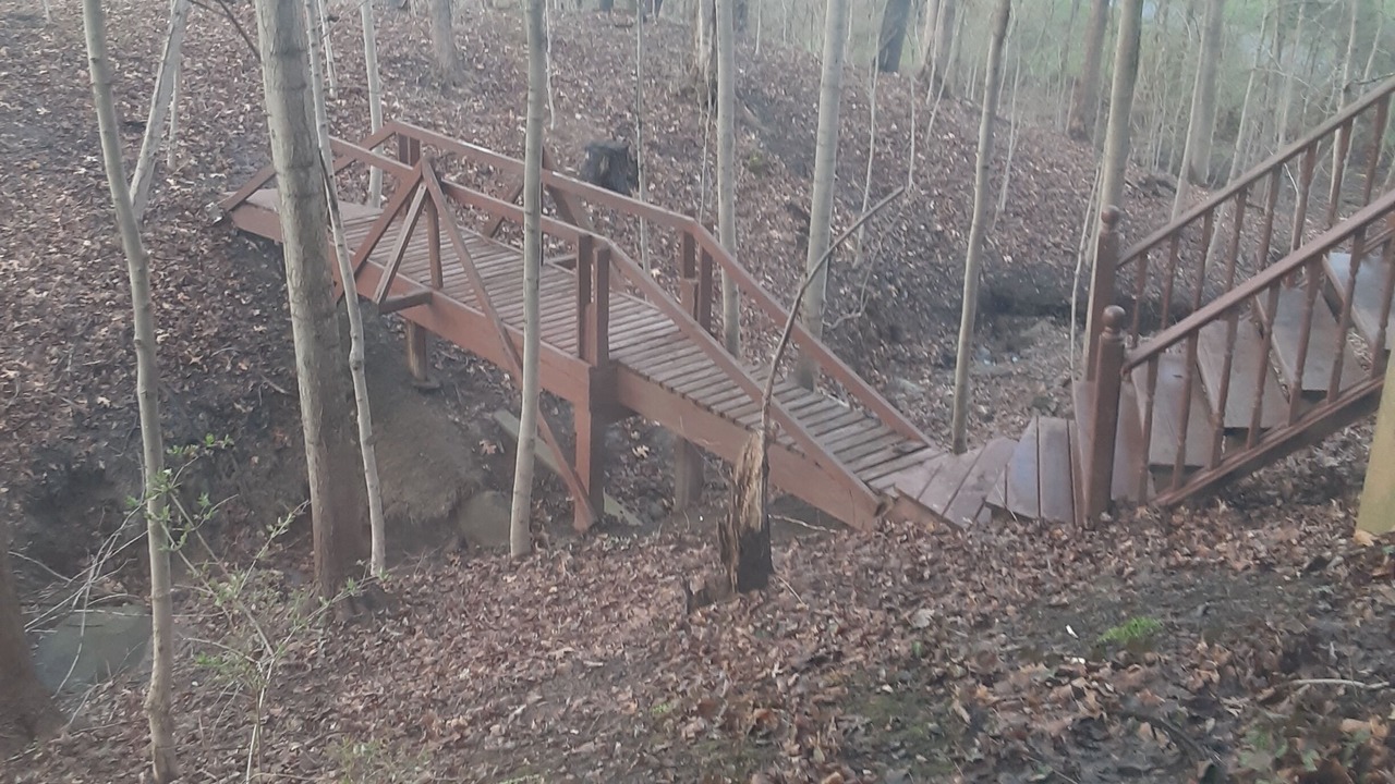 Photo of Outdoor in Olmsted Falls