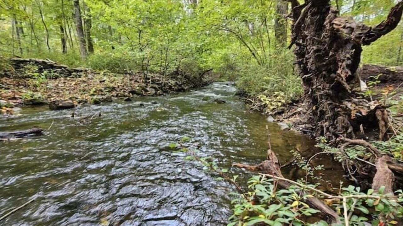 Photo of Outdoor in East Stroudsburg
