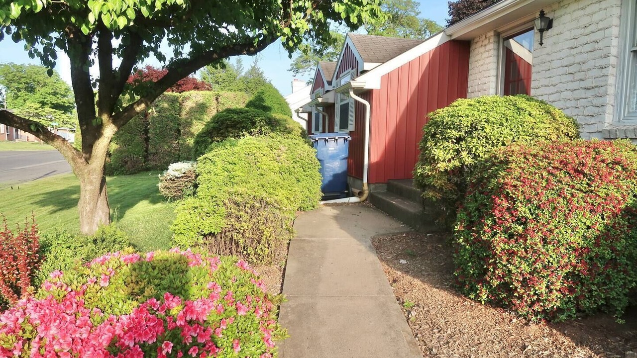 Photo of Outdoor in East Texas