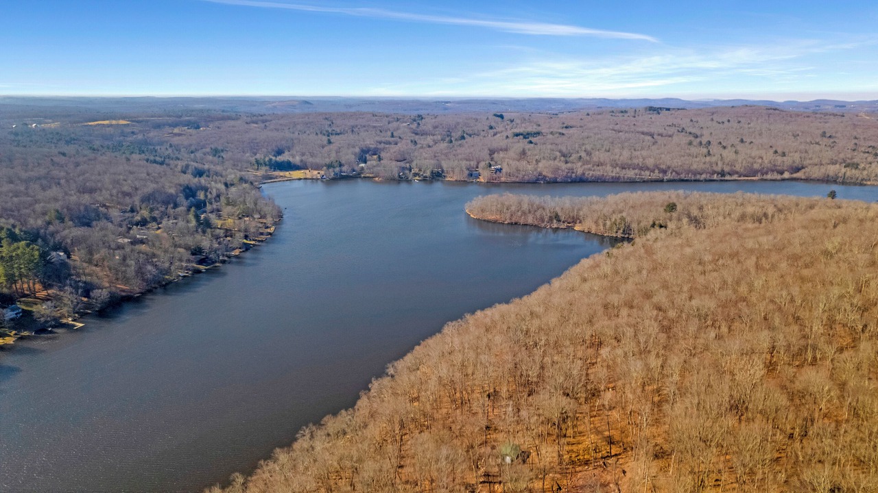 Photo of Outdoor in Swan Lake