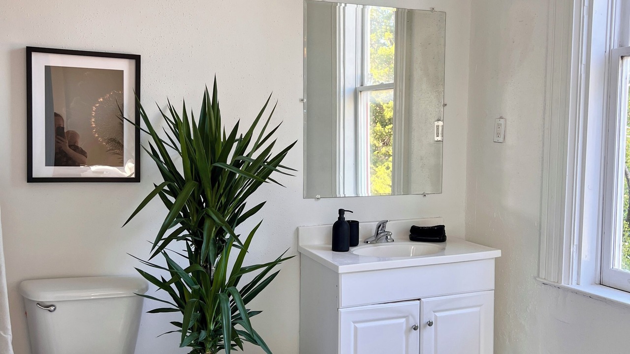 Photo of Bathroom in New Pathways
