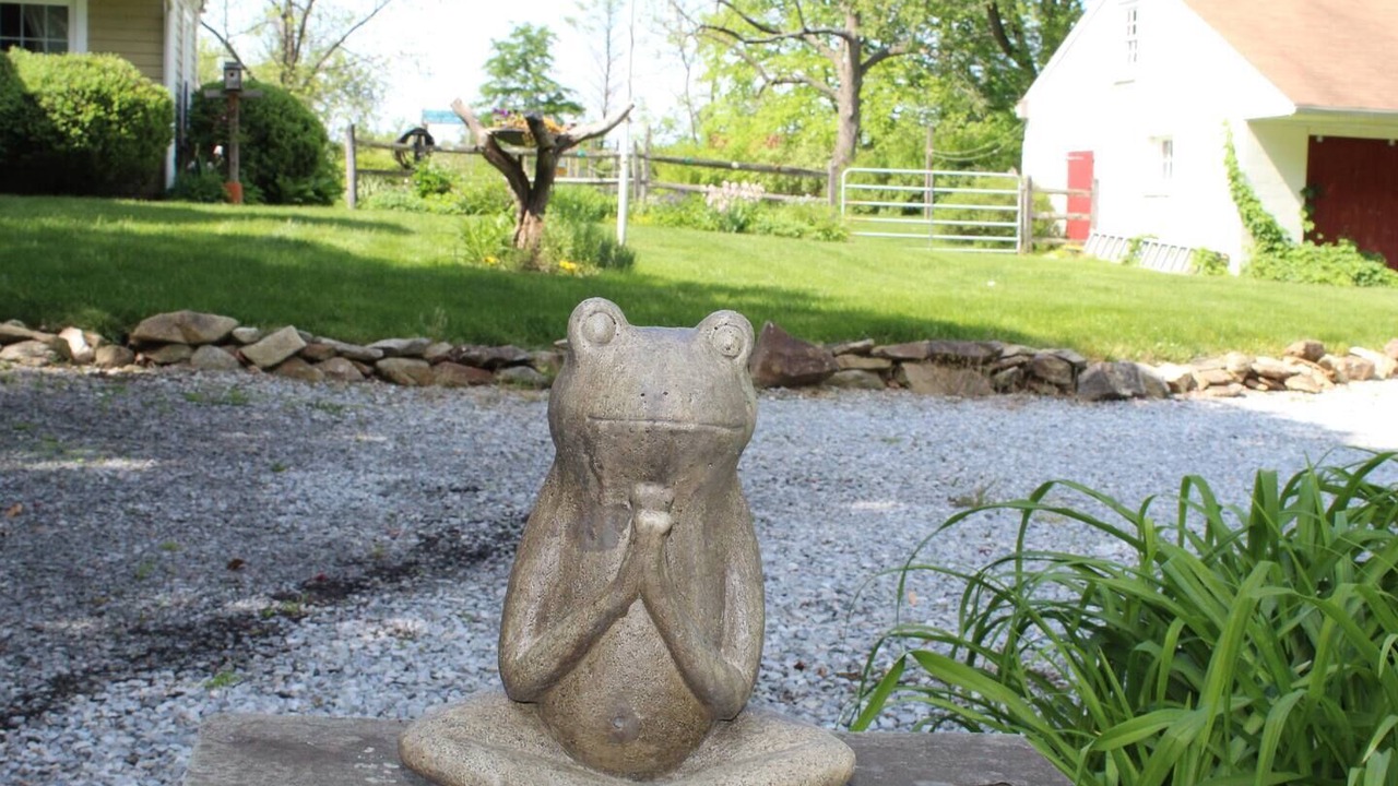 Photo of Outdoor in Wagontown