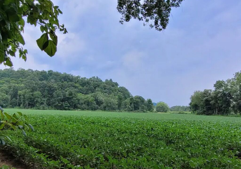 Photo of Outdoor in Bedford