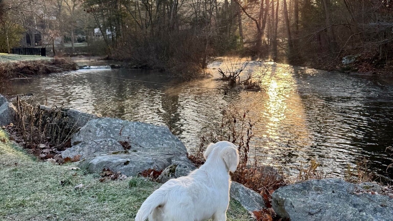 Photo of Outdoor in Weston