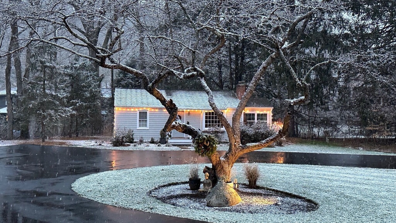 Photo of Outdoor in Weston