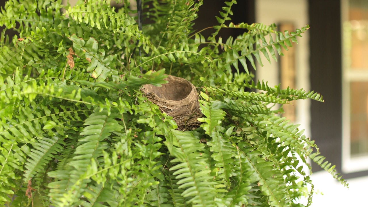Photo of Outdoor in Bausman